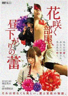 海边的女人 电影海报